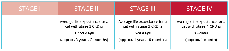 how long can a cat live with stage 1 kidney disease